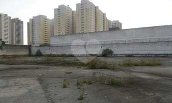 Imagem: EXCELENTE TERRENO 3000m² Água Branca