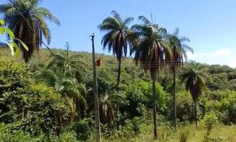 Imagem 7: Chácaras a partir de 700m² a 1.800m², com agua e luz, terreno fértil, Jaboticatubas