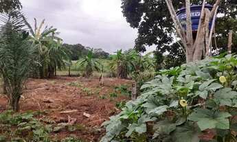 Imagem 5: 153. Chácara com rio no Distrito De Bonfim - Jaraguari/MS