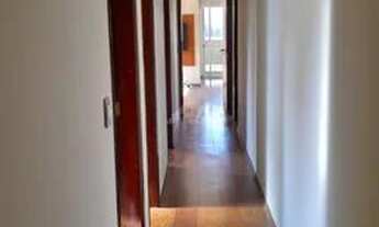 Imagem 2: Apartamento - Cambuí - Campinas