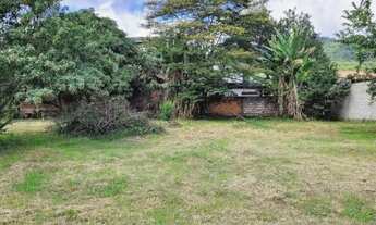 Imagem 6: Lotes planos, 192m2, doc. em dia, perto da principal