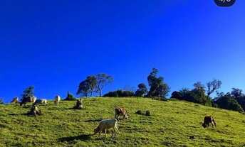 Imagem: Sítio em Tijucas do Sul
