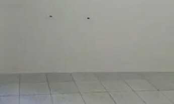 Imagem 6: Aluga se dois cômodos grandes