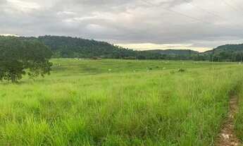 Imagem 2: Vendo excelente fazenda em São Sebastião do passe