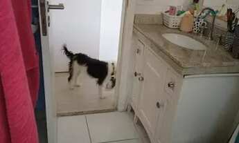 Imagem 5: EXCELENTE APARTAMENTO LOCAÇÃO LONDON VILLE