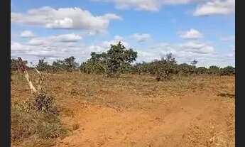 Imagem 2: Área 200 Hectares!!!Com energia Trifásico Próximo/Altitude Café ou Eucaliptos