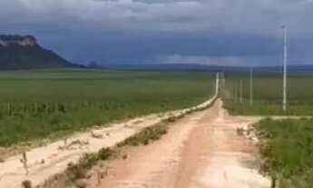 Imagem: Venda Ou Permuta Fazenda 630 Alqueires Região