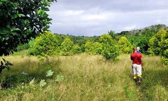 Imagem 4: Vendo maravilhoso sítio em Valença p