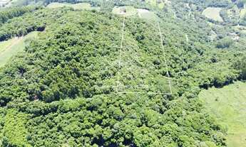 Imagem 5: Área de terra com potencial de vista à venda em Picada Café na Serra Gaúcha