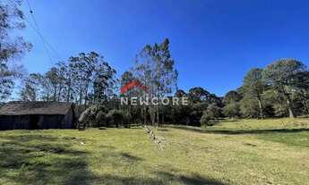 Imagem 3: Chácara em Estrada geral - Contendas - São Francisco de Paula/RS