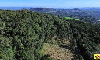 Imagem: Sítio / Chácara para Venda em Nova Petrópolis