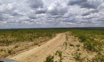 Imagem 2: Fazenda 883 h 100%plana 55 km do asfalto oportunidade