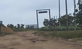 Imagem 2: Vende-se este lote