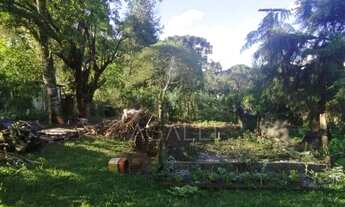 Imagem 4: Ótima Casa com 2 dormitórios à venda, DORIZON , MALLET - PR