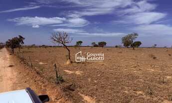 Imagem 2: Fazenda em Alexânia 126 ha Plana, Dupla Aptidão: Pecuária Leiteira e Corte + Agricultura