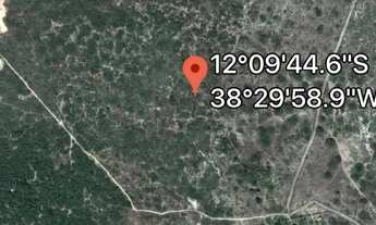 Imagem 3: VENDO EM ALAGOINHAS NA BR 101