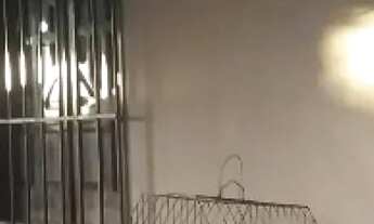 Imagem 5: CHÁCARA no mosqueiro Matapoã COM 3 QUARTOS TODA AVARANDADA