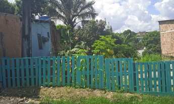 Imagem 2: Terreno no bairro Novo Aleixo