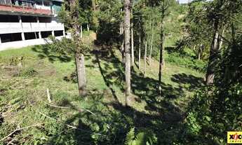Imagem: Terreno para Venda em Nova Petrópolis