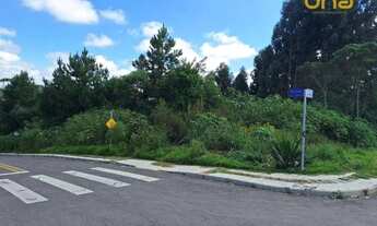 Imagem 4: Terreno à venda, 3700 m² por R$ 660.000,00 - Vila Brasila - Mandirituba/PR