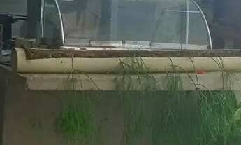 Imagem: Troca ou vendo avista