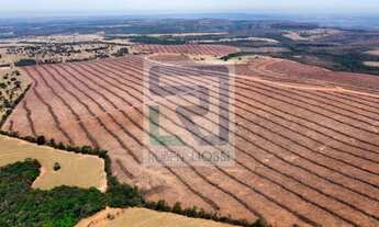 Imagem 3: MS) Fazenda em São Gabriel do Oeste com 440 Hectares