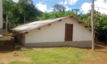 Imagem 2: Maravilhosa propriedade produtiva no sul, em pleno vapor de produção, casas e aguadas