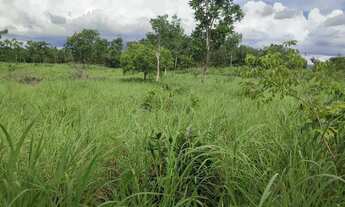 Imagem 5: Excelente Chácara de 8.9 Hectares em Vila Boa Goiás / Escriturada e Registrada