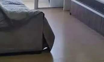 Imagem 3: Apartamento para venda, 3 quarto(s), sendo 1 suite, no bairro Dom Aquino, Cuiabá