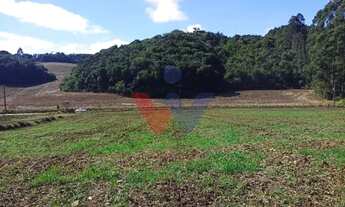 Imagem 5: Terreno Rural em Campo Magro 24.080 m , Plano e Limpo, Aceita Permuta