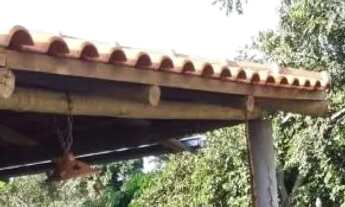 Imagem: CHACARA EM NOVA ESPERANÇA