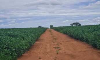 Imagem 5: FAZENDA À VENDA REGIÃO DE NOVA MUTUM MT