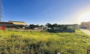 Imagem: Vendas Terreno Fazenda Rio Grande PR