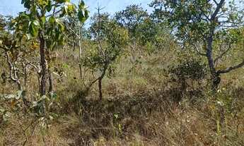 Imagem 3: VENDO!!! SÍTIO 20 HECTARES À VENDA NOSSA SENHORA DO LIVRAMENTO (MT
