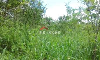 Imagem 4: Lote em Juquitiba SP - palmeirinha - Juquitiba/SP