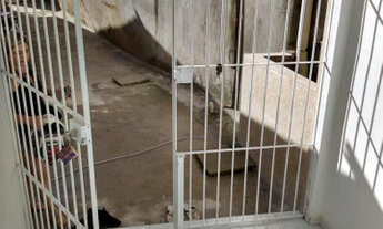 Imagem 6: Casa Cabo de santo Agostinho