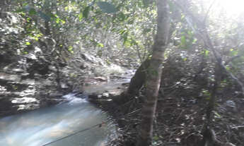 Imagem 6: Sítio com ótima casa