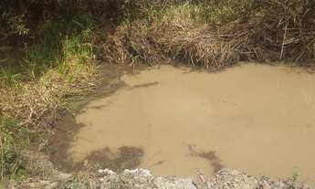 Imagem 4: Lote em Interlagos , a partir 35 mil depois jardins Veneza vila velha espirito santo