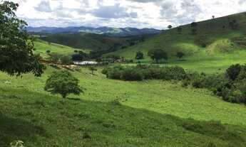 Imagem 6: Fazenda no Periquito/MG