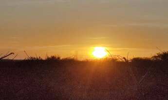 Imagem 2: Terreno em Petrolândia com 134 hectares