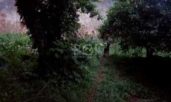 Imagem: Porto Alegre - Terreno Padrão - Cavalhada