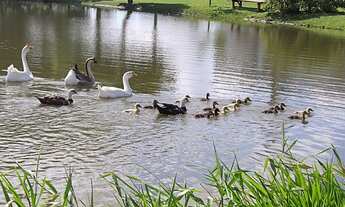 Imagem 5: Casa de condomínio para venda com 114 metros quadrados com 3 quartos