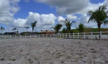 Imagem 7: Haras Residence Terreno / lote com venda por R$89.010