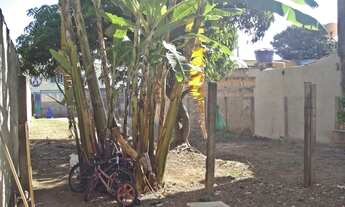 Imagem 6: CONTAGEM - Loteamento/Condomínio - Novo Progresso