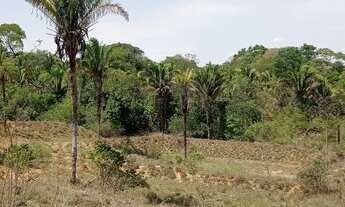 Imagem 4: Fazenda com 30 hectares próximo Taguatinga DF