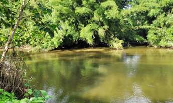 Imagem 5: Sítio 10 alqueires Juquiá sp