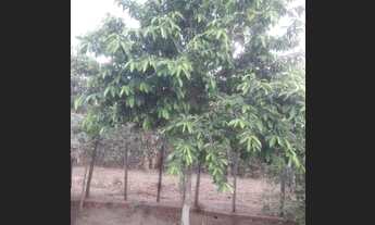 Imagem 2: Casa Casa com 3 dormitórios