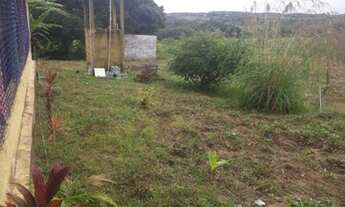 Imagem 4: Sitio a venda no Povoado Saco da Raiz em Estância