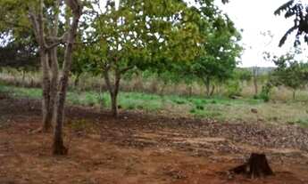 Imagem 6: Vende-se chácara no municipio de Arinos