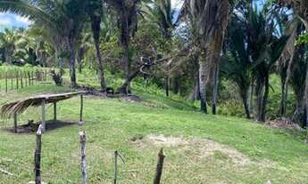Imagem 5: LINDO SITIO IGUAIBA 9 HECT